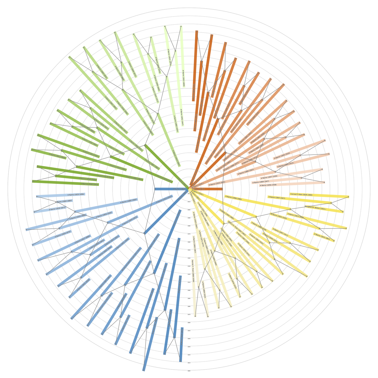 Sunburst Family Tree Print