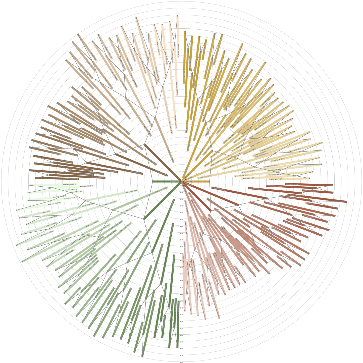 Sunburst Family Tree Print